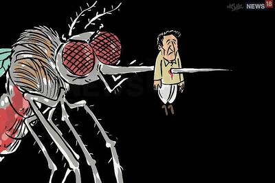 Chennai Records Highest Number of Dengue Cases in Tamil Nadu; 543 Infected
