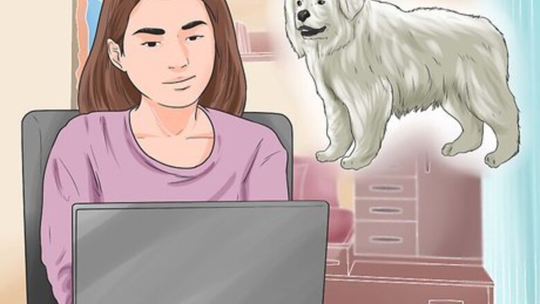 How to Train a Dog to Protect Chickens