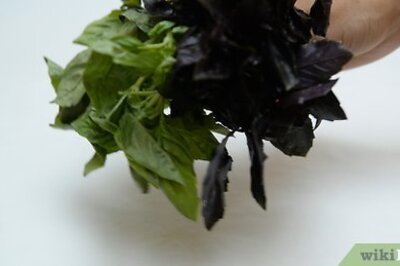 How to Dry Basil in the Oven
