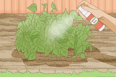 How to Protect Plants from Animals