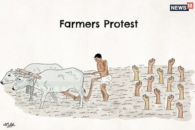 Farmer Protests: Milk, Vegetable Supply to be Hit as Farmers Launch 10-Day Strike in MP, Maharashtra, Punjab