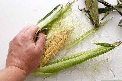 How to Freeze Corn on the Cob