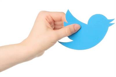 Is Twitter saturating? There's no reciprocation and there's homophily