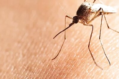Dengue, Chikungunya, Malaria Made Notifiable Diseases Under Epidemic Diseases Act