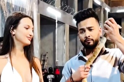 Elvish Yadav Seen Playing With Snake In Viral Video Amid Venom FIR, Says 'Don't Believe In...'