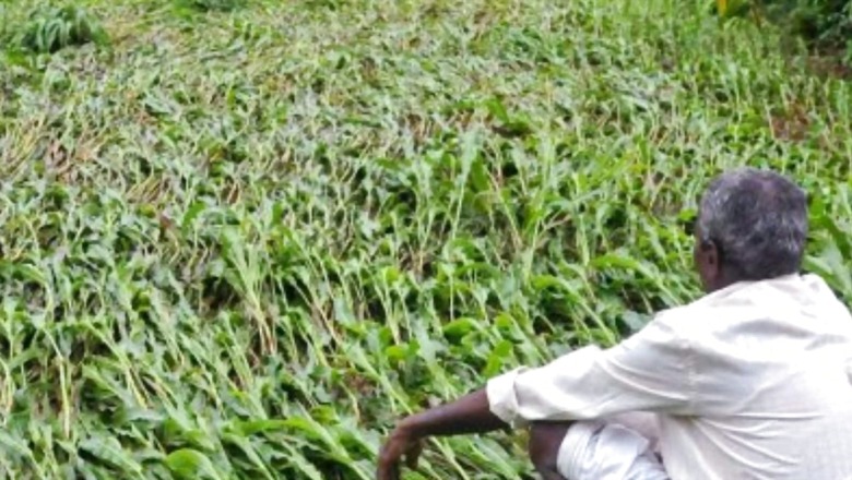 Privatisation of State-owned Fertiliser Enterprises: Why It Won’t Be Easy for Govt to Tread This Path