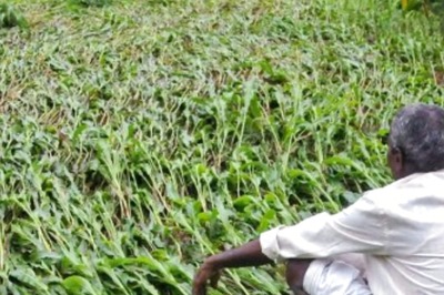 Privatisation of State-owned Fertiliser Enterprises: Why It Won’t Be Easy for Govt to Tread This Path