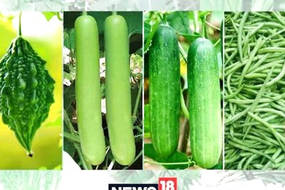 These Vegetables in Your Diet Will Help Cool You Down in Summer