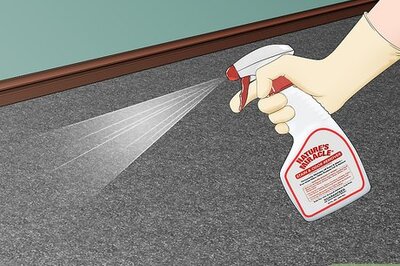 How to Deodorize Carpet