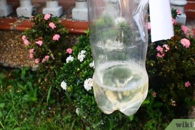 How to Make a Drip Irrigator from a Plastic Bottle