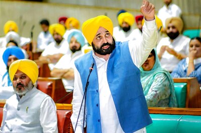 Punjab Govt Scraps Textile Park Project Near Ludhiana's Mattewara Forests