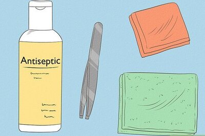 How to Remove Debris Stuck in a Cat Paw