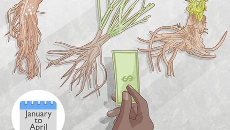 How to Plant Roots