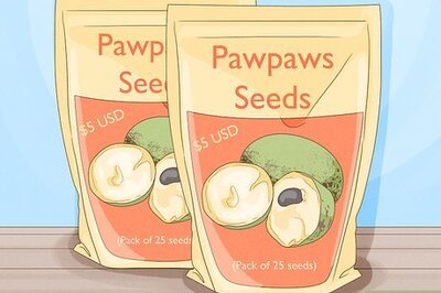 How to Grow Pawpaws
