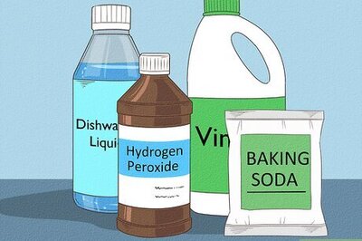 How to Remove Skunk Odor from Dogs