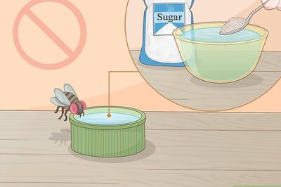 How to Feed Bees Sugar Water