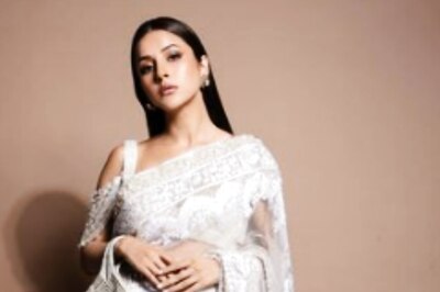 Shehnaaz Gill To Kashmera Shah, 5 TV Actresses Who Underwent Body Transformations