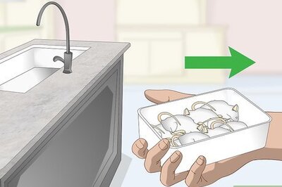 How to Feed a Snake Frozen Food