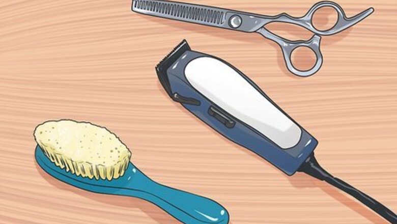 How to Groom a Longhair Dog