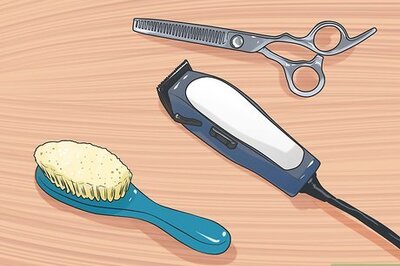 How to Groom a Longhair Dog