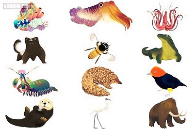 Google Earth Day quiz results: Pangolin, honey badger, cuttlefish, mantis shrimp, komodo dragon, woolly mammoth