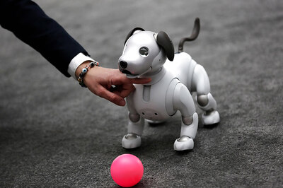 Fido Funeral: In Japan, A Send-off For Robot Dogs