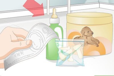 How to Feed Orphaned Newborn Puppies