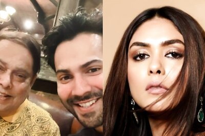 Varun Dhawan, Mrunal Thakur Complete First Schedule Shooting Of David Dhawan's Next: Report