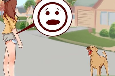 How to Overcome a Fear of Dogs