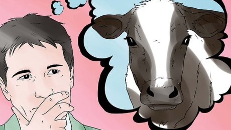 How to Keep a Milking Cow