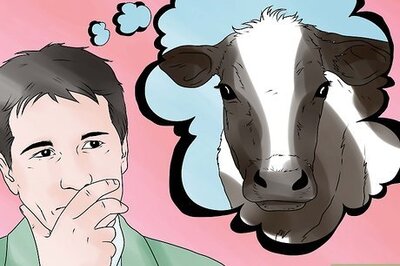 How to Keep a Milking Cow
