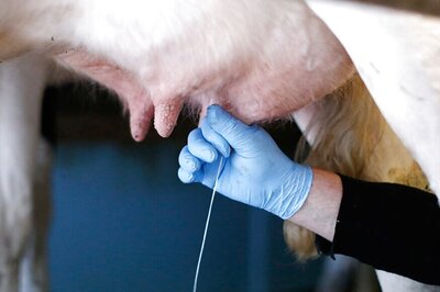 6 Ways to Make Drinking Milk More Enjoyable