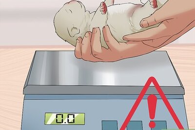 How to Save a Fading Newborn Puppy