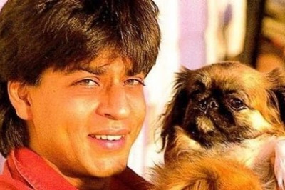 Shah Rukh Khan Cried, Got ANGRY At Help For Burying His Dog Away From Home: 'How Dare You Throw...'