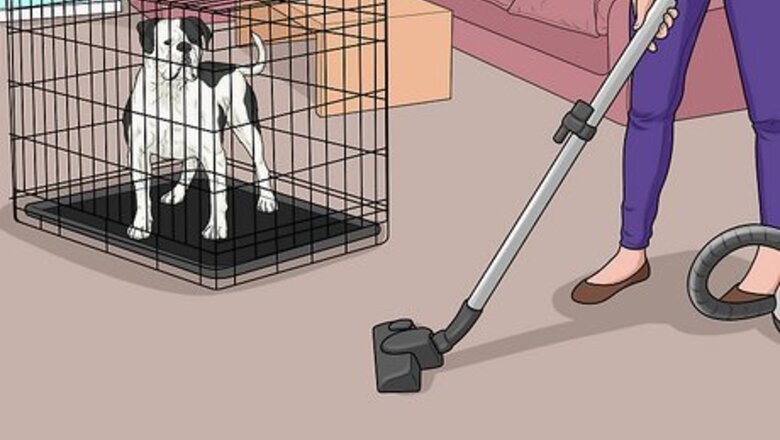 How to Keep a Dog from Chasing the Vacuum Cleaner