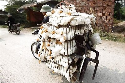 China bird flu virus found in more markets in Shanghai