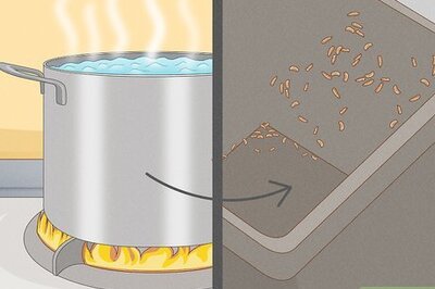 8 Natural & Chemical Ways to Get Rid of Maggots