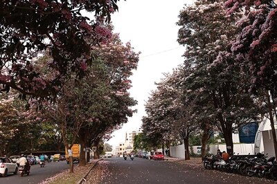 Explainer: Bengaluru Is Burning! Are We The Actual Reason For This Climate Change?