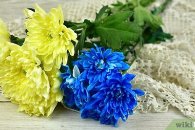 How to Press Flowers