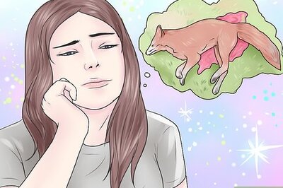 How to Eat Roadkill