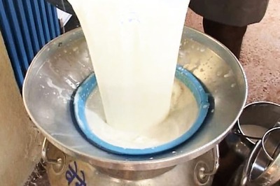 World Milk Day 2019: Significance and Importance of Celebrating This Day
