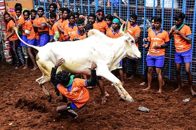 Cases Over 'Jallikatttu' Protests Will Be Withdrawn, Says TN CM Palaniswami