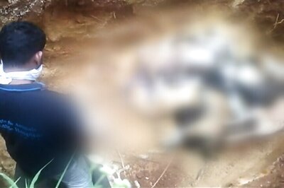 25 Dogs Buried Alive in 8 Feet Deep Pit in Bengaluru