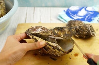 How to Clean Oyster Shells for Crafts