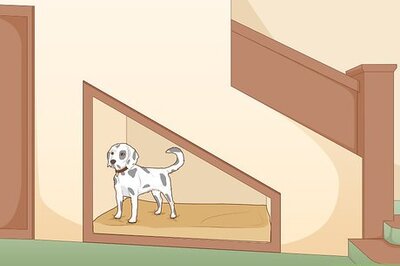 How to Create a Private Space for Your Dog