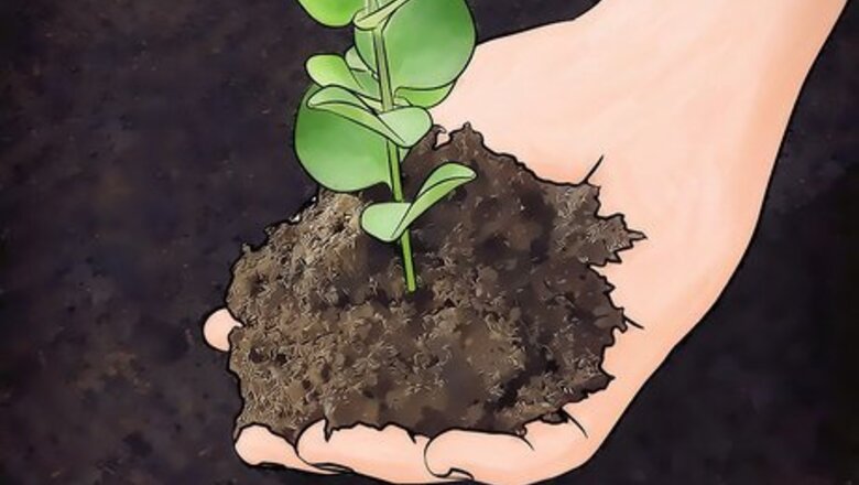 How to Amend Clay Soil