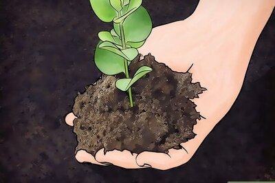 How to Amend Clay Soil