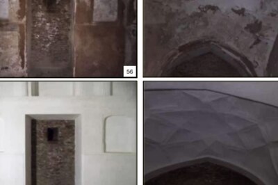 Taj Mahal Rooms: ASI Had Published Photos of 22 Underground Cells Before HC Order, Here's Why