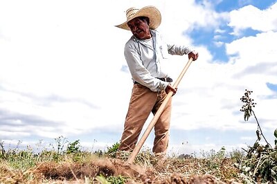 Washington State Is Latest To Pass Heat Rules For Workers