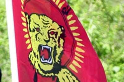 'LTTE might have killed fishermen'